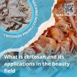 What is chitosan and its applications in the beauty field